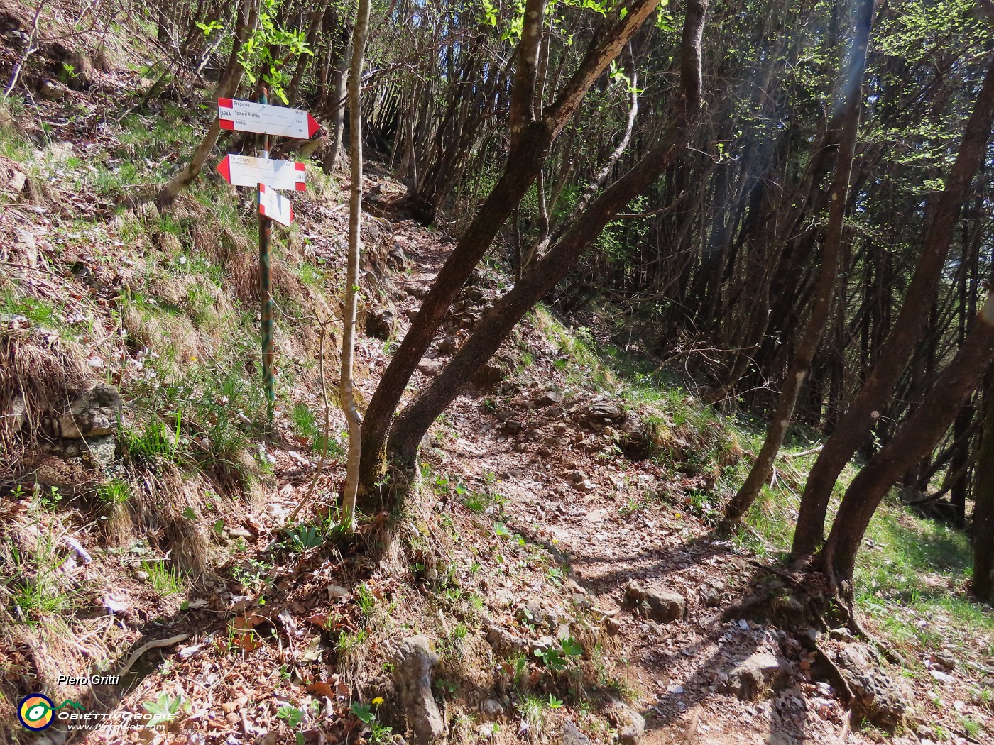 69 E qui chiudo il bell'anello di due cime concatenate .JPG